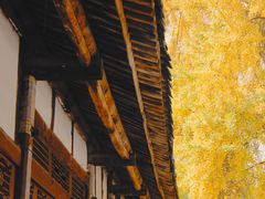 -金堂县云顶石城风景区