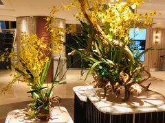 -香港皇家太平洋酒店