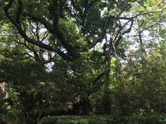 -绮园景区
