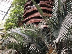 -呀路古热带植物园