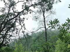 -青龙山国家森林公园