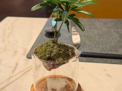 -深圳国际会展中心希尔顿酒店(前海华发冰雪世界店)