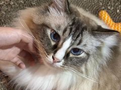 -白兔子密室(长寿路店)