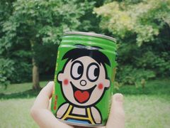 -上海共青森林公园