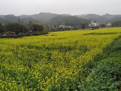 -红山村