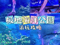 -海合安武汉极地海洋公园