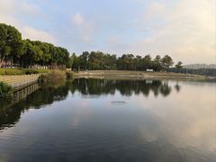 -美兰湖景区