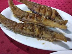 -蛇口康乐快餐鱼仔档(翠苑小区店)