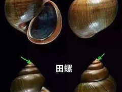 -吉源大排档·鱼生·海鲜(烧烤彩印厂店)