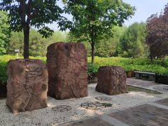 -莲花池公园