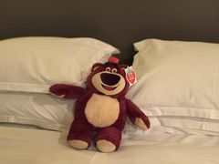 -天津水游城丽筠酒店