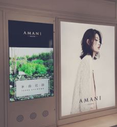 -程Studio