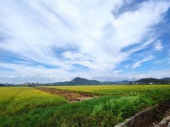 -海角城白海豚浪漫海滩