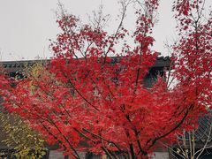 -同里国家湿地公园