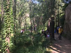 -碓臼峪自然风景区