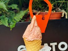 -野人先生Gelato(上海长宁龙之梦店)