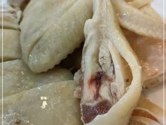 -清新鸡沙田乳鸽店(金融店)