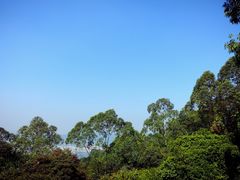 -火炉山森林公园