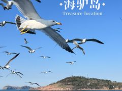-海驴岛(荣成市)
