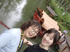 -合肥滨湖国家森林公园