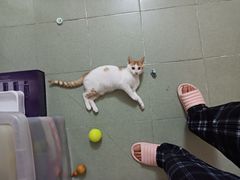 -麦当劳(沙河店)