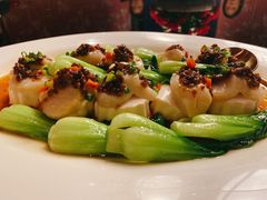 豉汁带子蒸豆腐-三号黄浦会Canton Table