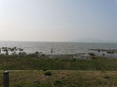 -苏州太湖国家湿地公园