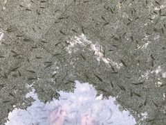 -碧水湾温泉