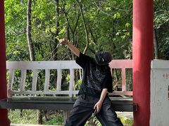 -铁山坪森林公园