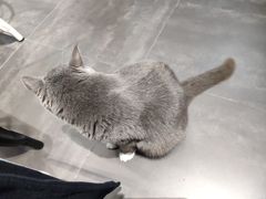 -乐果甜心·潮汕冰室(南澳后宅分店)
