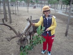 iphone_upload_pic-北京鹿世界主题园