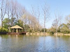 -溱湖国家湿地公园