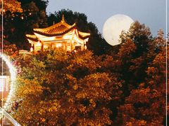 -巴倒烫陆派重庆火锅(南山店)