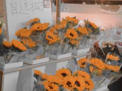 -溪岸路花鸟市场