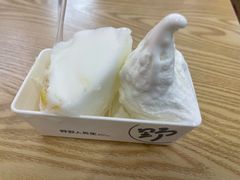 -野人先生Gelato(上海长宁龙之梦店)