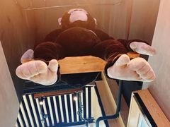 -ZOO COFFEE动物园咖啡(望京锐创店)