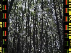 -同里国家湿地公园