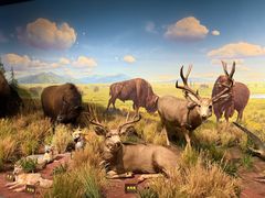 -陕西自然博物馆