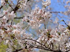 -西北湖绿化广场