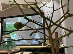 -双风车咖啡馆 Twin Windmills(六道口店)