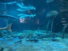 -华夏文旅海洋公园