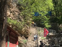 -北京上方山国家森林公园