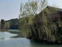 -梁鸿国家湿地公园