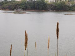 -立新湖公园