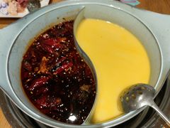 -青瓷火锅料理(西单大悦城店)