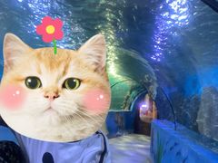 -嘉兴海底世界