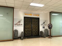 -班达拉奈克国际机场