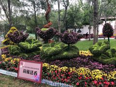 景点-莲湖公园