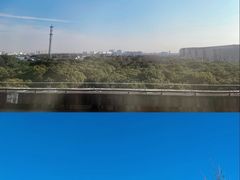 -上海海昌海洋公园