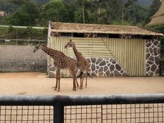 -泉州海丝野生动物世界